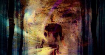 Fractal-Mirror-Garden-Of-Ghosts-Cover