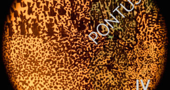 Pontus – IV (EP)