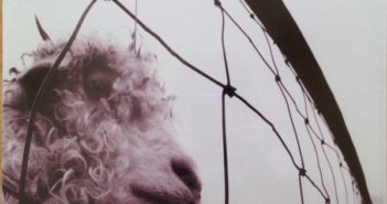 Pearl Jam – Vs. (Vinyl-Reissue)