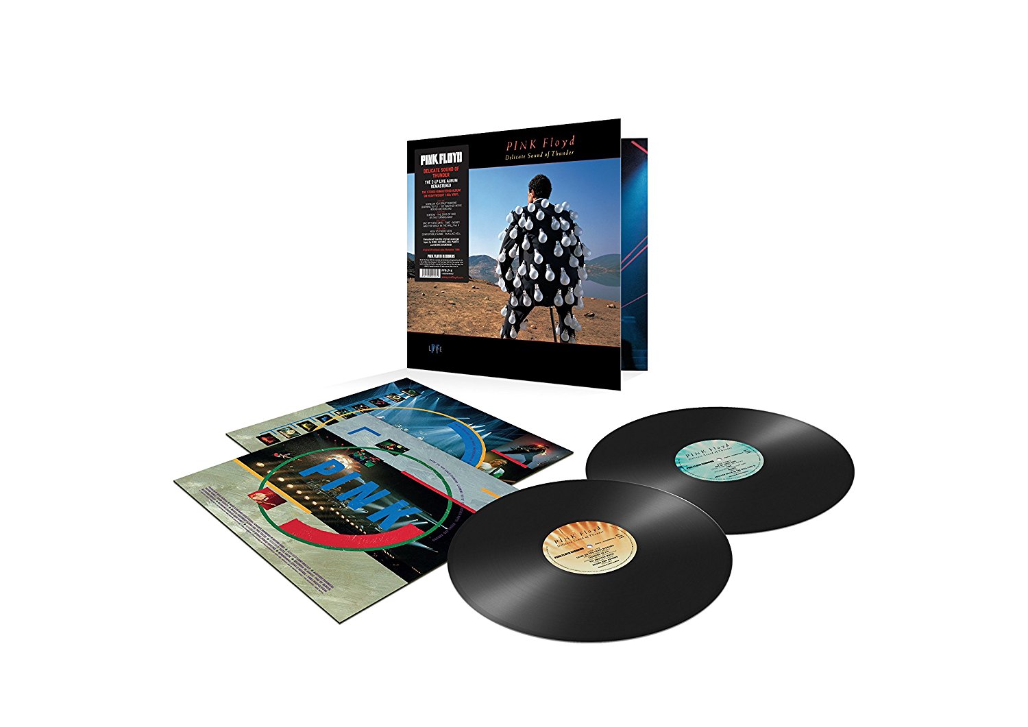 Pink Floyd Delicate Sound Of Thunder (VInylReissue)