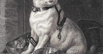 Pavlov’s Dog – Prodigal Dreamer