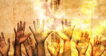 Freedom To Glide – Seed