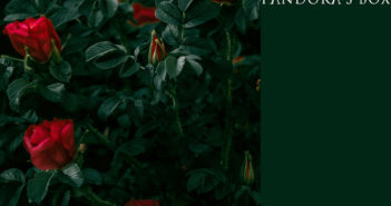 White Willow – Pandora’s Box
