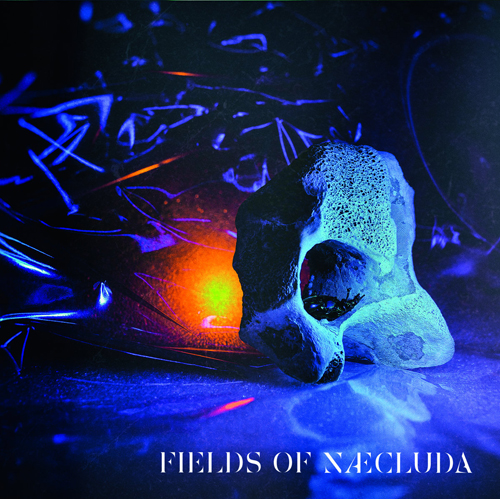 Fields Of Næcluda - Fields Of Næcluda