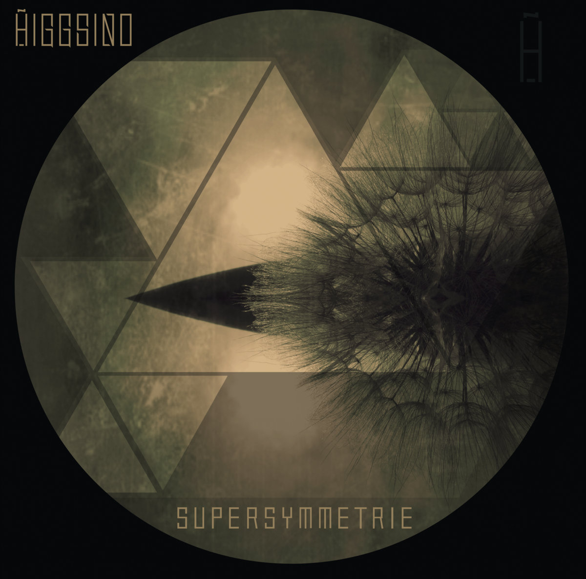 Higgsino Supersymmetrie