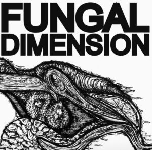 Fungal Dimension - Fungal Dimension (Ogorekords, 6.11.20/18.12.20