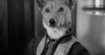 Osta Love – The Isle Of Dogs Osta Love - The Isle of Dogs (unsigned/RecordJet, 27.11.15)