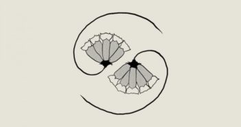 Godspeed You! Black Emperor – G_d’s Pee AT STATE’S END!