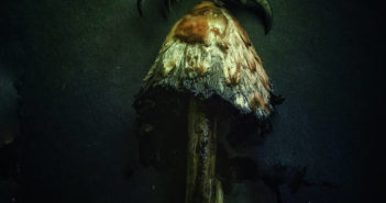 Lotus Thrones - Lovers In Wartime (Disorder Recordings, 30.7.21)