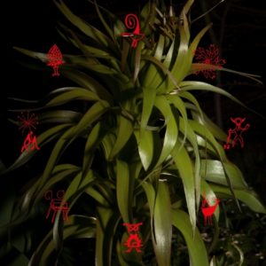 Red On – Drums (Verydeeprecords, 01.10.21)
