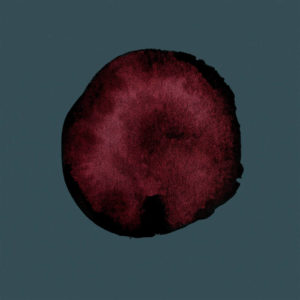 No God Only Teeth - Placenta (Narshardaa, Broken Silence, 10.10-2021)