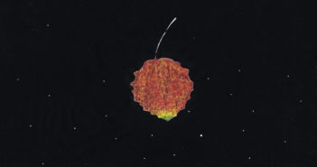 Malady – Ainavihantaa