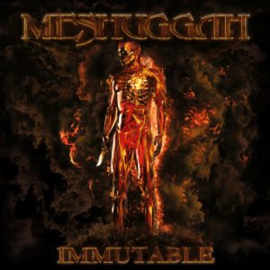 Meshuggah cover