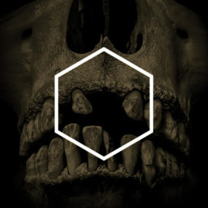 Lustmord & Various Artists - The Others [Lustmord Deconstructed] (Pelagic Records, 01.04.2022)