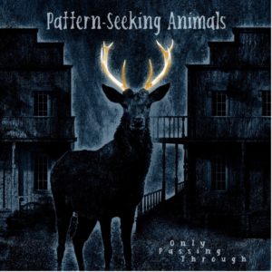 Pattern-Seeking Animals - Only Passing Through (IOM/Sony, 01.04.22)
