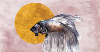 Tanidual – Alignement Tanidual - Alignment (Atypeek/Diffusion, 04.03.2022) COVER
