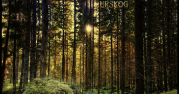 Kaipa – Urskog