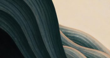 Dim Gray – Firmament
