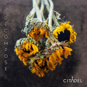 Citadel - Decompose (Eigenveröffentlichung, 04.11.2022) COVER