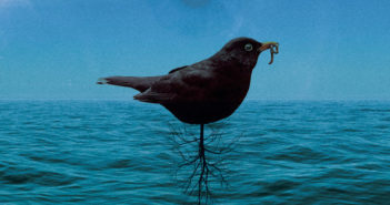 Sâver/Frøkedal - Split EP (Pelagic/Soulfood, 02.12.22) COVER