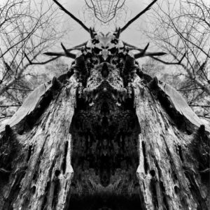 Rulaman - To Serve The Dune (Tonzonen/Soulfood, 27.01.23) COVER