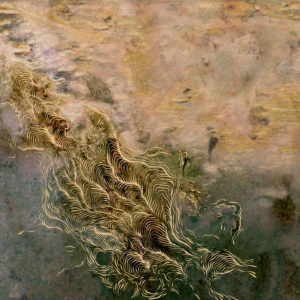 Rezension Atsuko Chiba - Water, It Feels Like It’s Growing (Mothtale, 20.01.2023) COVER