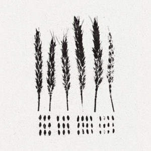 LO! - The Gleaners (Pelagic, 07.04.2023) COVER