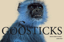 Godsticks - This Is What A Winner Looks Like (Kscope/Edel, 26.05.2023)
