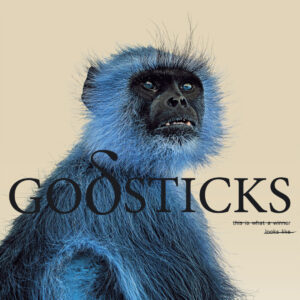 Godsticks - This Is What A Winner Looks Like (Kscope/Edel, 26.05.2023) COVER