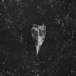 Bees Made Honey In The Vein Tree - Aion (Magnetic Eye, 18.08.2023) COVER