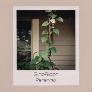 SineRider - Perennial (SiS, 09.02.2024) COVER