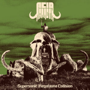 Acid Mammoth - Supersonic Megafauna Collision (HPS, 05.04.2024) COVER