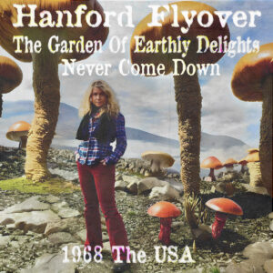 Hanford Flyover, Nick Nicely, The Sand Pebbles, Anton Barbeau - 7