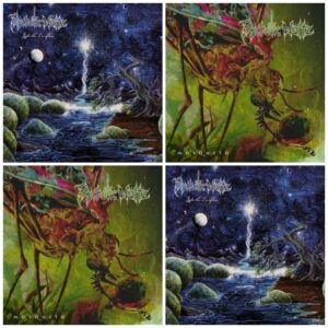 Psychotic Waltz - Into The Everflow / Mosquito (Reissues) COVERS