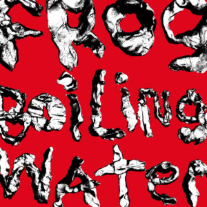 DIIV - Frog In Boiling Water (Fantasy Records/Concord/Universal, 24.04.2024) COVER