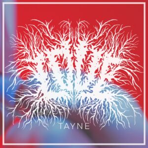 Tayne - Love (MNRK UK, 31.01.2025) COVER