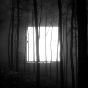 Törzs - Menedék (Pelagic Records, 16.05.2025)