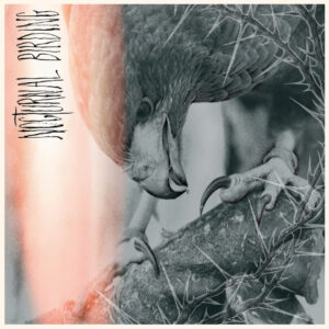 Author & Punisher - Nocturnal Birding (Relapse Records; 03.10.2025)