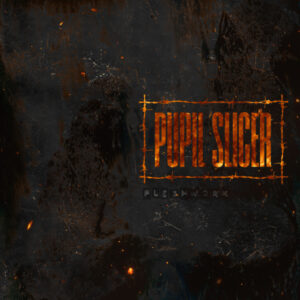 Pupil Slicer - Fleshwork (Prosthetic, MNRK Heavy, SPV; 07.11.2025)