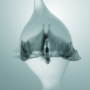 Unprocessed - Angel (Eigenveröffentlichung; 31.10.2025)