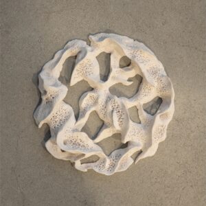 Hiraki x Meejah - Interwoven (Pelagic Records; 13.03.2026)