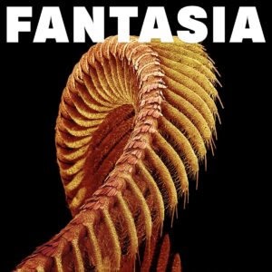 Slift - Fantasia (Sub Pop, 05.06.2026) 