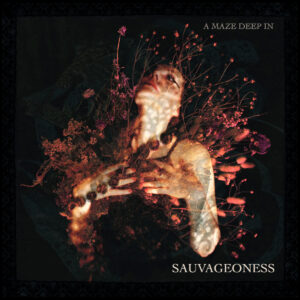 Sauvageoness - A Maze Deep In (Araki Records/Atypeek Music; 22.05.2026)