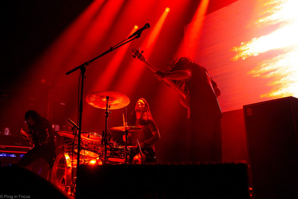 2026-08-28 Maastricht 🇳🇱 Pelagic Fest 2026